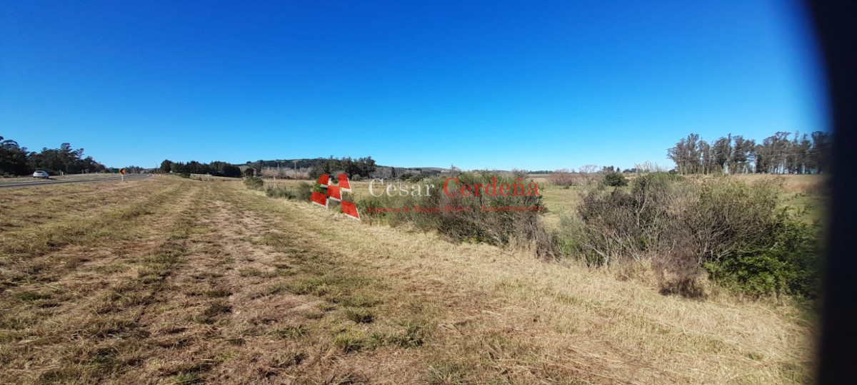 Chacra ID.1891 - Venta de chacra en Ruta 9 y 12 casi 5 hás con costa cañada permanente Muy buen entorno