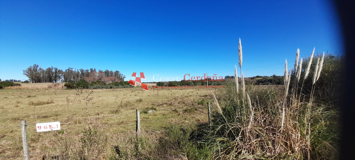 Chacra ID.1891 - Venta de chacra en Ruta 9 y 12 casi 5 hás con costa cañada permanente Muy buen entorno