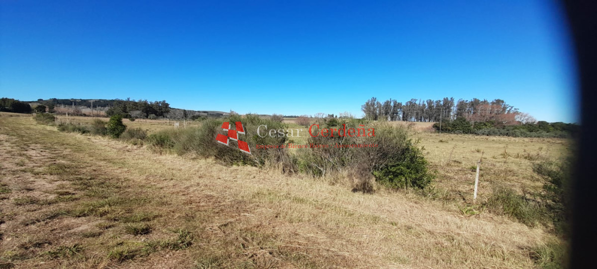 Chacra ID.1891 - Venta de chacra en Ruta 9 y 12 casi 5 hás con costa cañada permanente Muy buen entorno