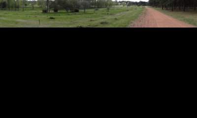 Terreno en Punta del Este, Chacras del Pinar, Camino Lussich