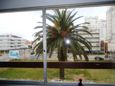 Apartamento en Punta del Este - Península (Anual e Invernal)