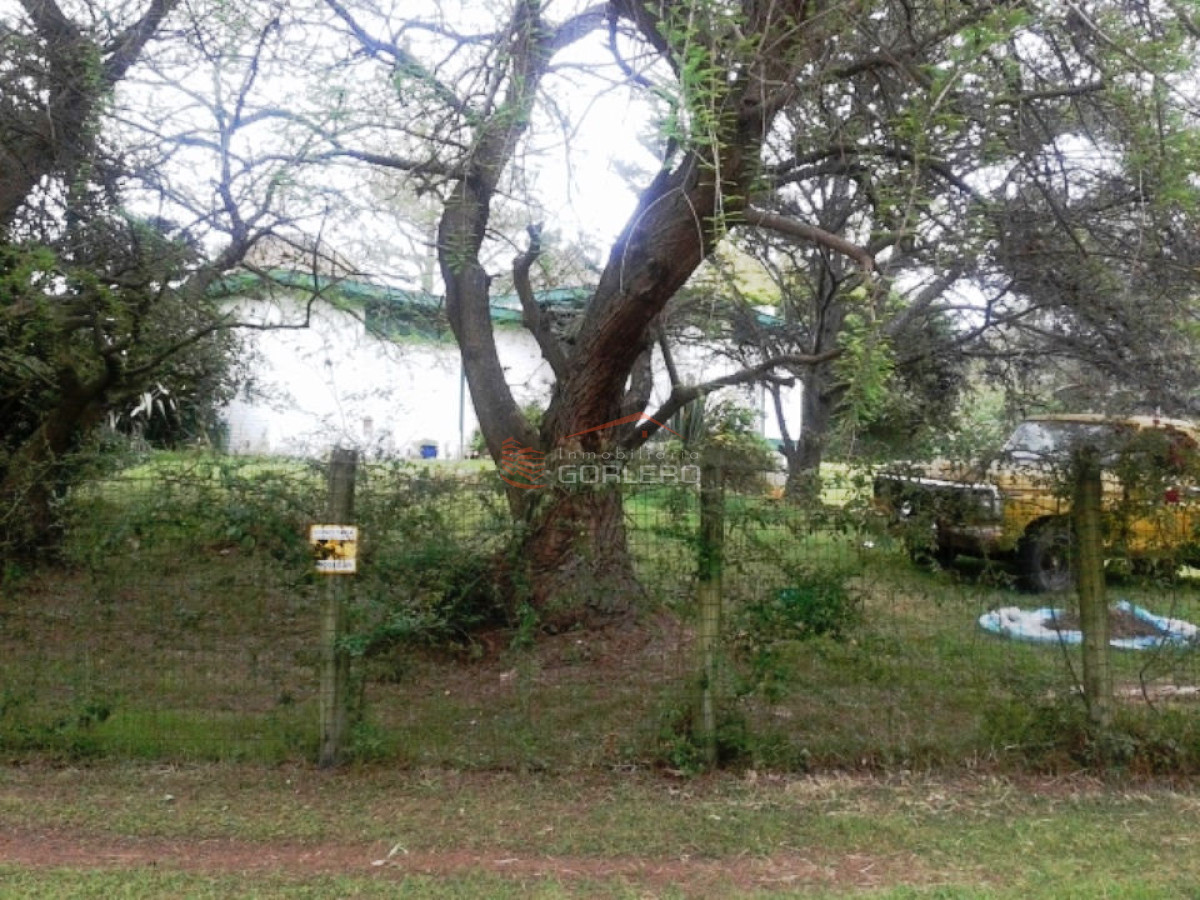 Pinares - GoPunta - Portal Inmobiliario de Punta del Este - Maldonado