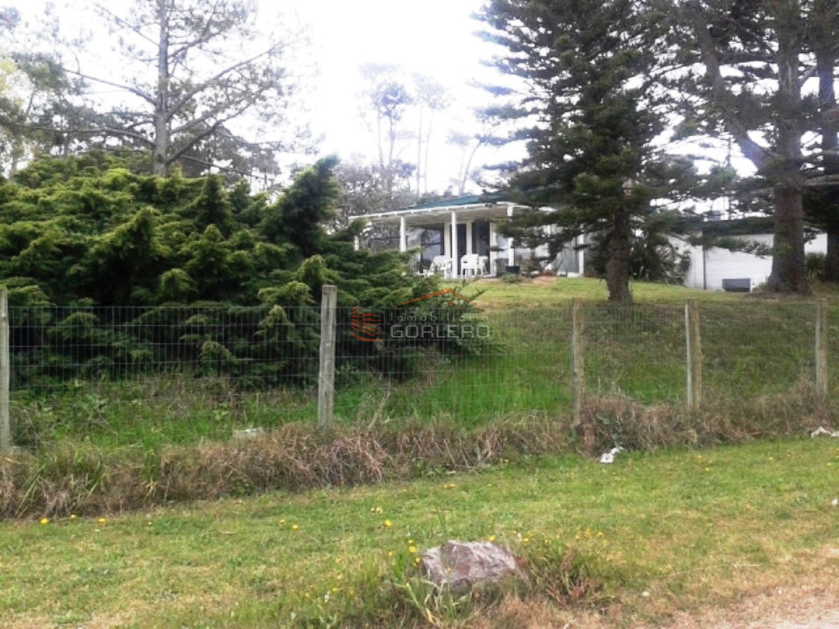 Pinares - GoPunta - Portal Inmobiliario de Punta del Este - Maldonado