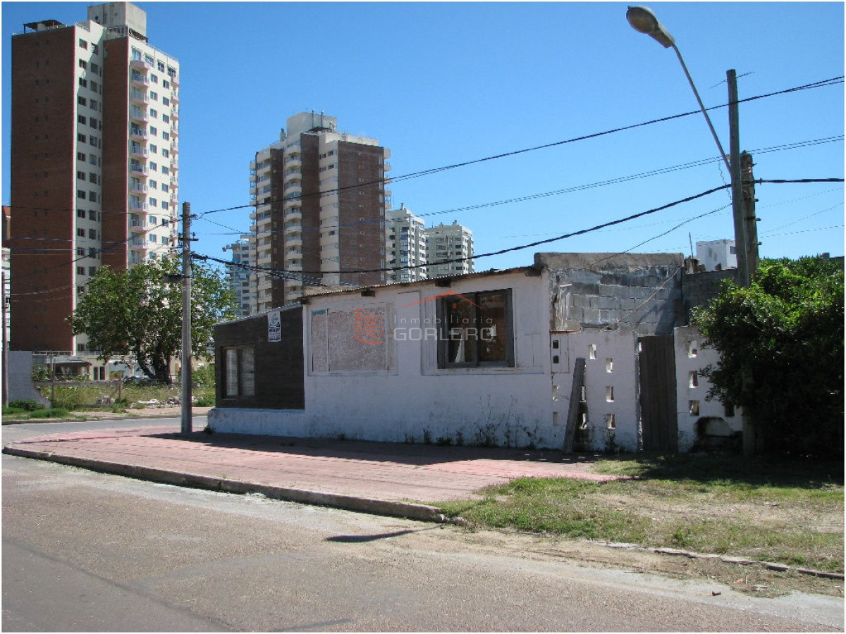 Brava - GoPunta - Portal Inmobiliario de Punta del Este - Maldonado
