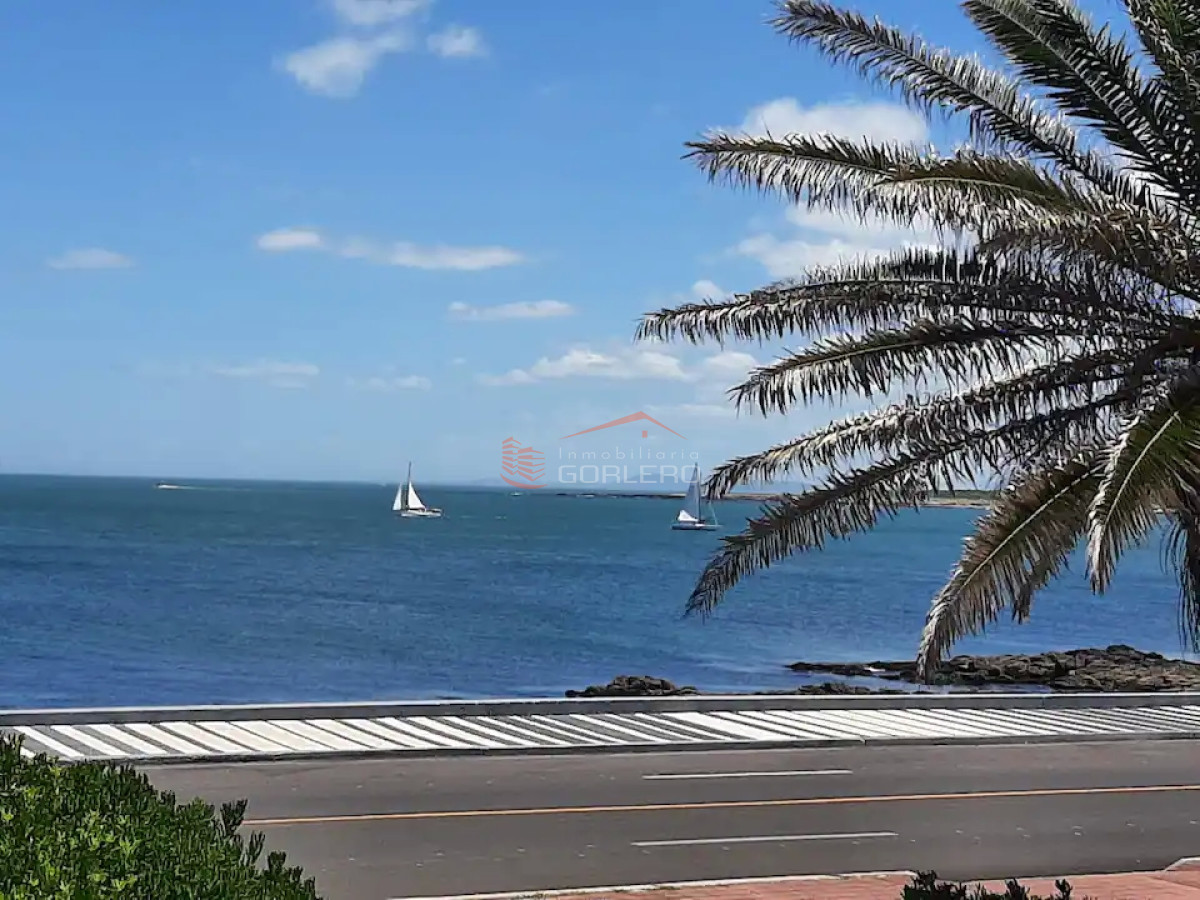 Península - GoPunta - Portal Inmobiliario de Punta del Este - Maldonado