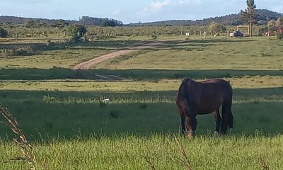 Venta de Casa de Campo en San Francisco de las Sierras - Lavalleja - Financiación a convenir