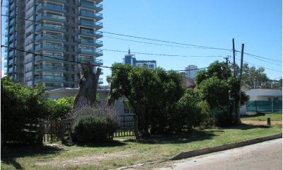 Venta de Casa en Punta del Este - Brava - Apto para EDIFICIO