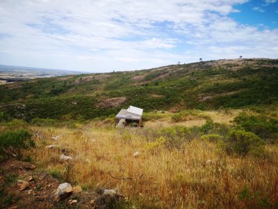 chacra en uruguay, ruta 60 a menos de 1 hora de mdeo, ruta 60, vistas, monte nativo - gor21590h