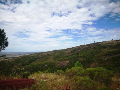chacra en uruguay, ruta 60 a menos de 1 hora de mdeo, ruta 60, vistas, monte nativo - gor21590h