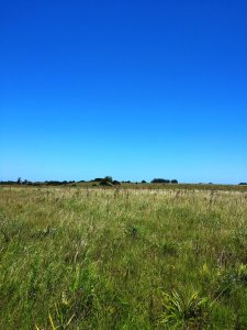 chacra en uruguay , garzon  - gor21166h