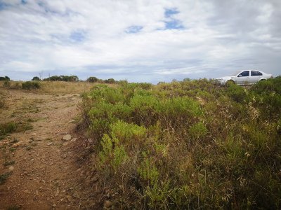 chacra en uruguay, ruta 60 a menos de 1 hora de mdeo, ruta 60, vistas, monte nativo - gor21590h