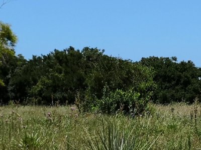 chacra en uruguay , garzon  - gor21166h