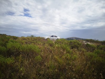 chacra en uruguay, ruta 60 a menos de 1 hora de mdeo, ruta 60, vistas, monte nativo - gor21590h
