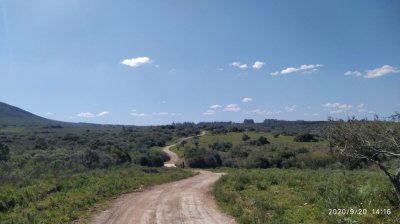 chacra en uruguay, ruta 60 a menos de 1 hora de mdeo, ruta 60, vistas, monte nativo - gor21590h