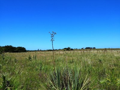 chacra en uruguay , garzon  - gor21166h