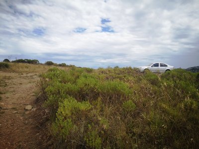 chacra en uruguay, ruta 60 a menos de 1 hora de mdeo, ruta 60, vistas, monte nativo - gor21590h