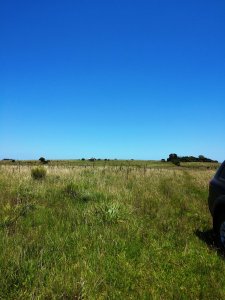 chacra en uruguay , garzon  - gor21166h