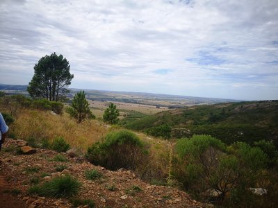 chacra en uruguay, ruta 60 a menos de 1 hora de mdeo, ruta 60, vistas, monte nativo - gor21590h
