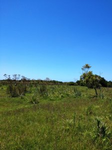 chacra en uruguay , garzon  - gor21166h