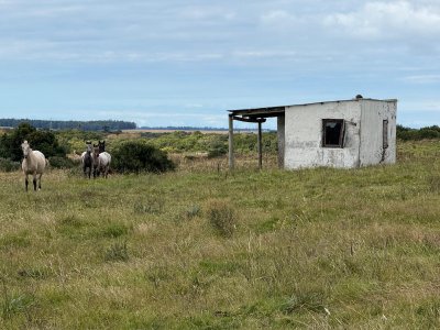 chacra en uruguay , garzon  - gor21166h