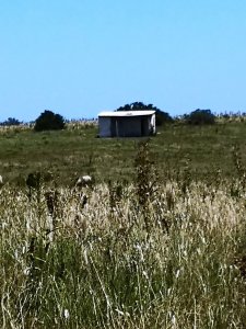 chacra en uruguay , garzon  - gor21166h