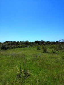 chacra en uruguay , garzon  - gor21166h