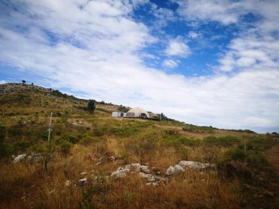 chacra en uruguay, ruta 60 a menos de 1 hora de mdeo, ruta 60, vistas, monte nativo - gor21590h