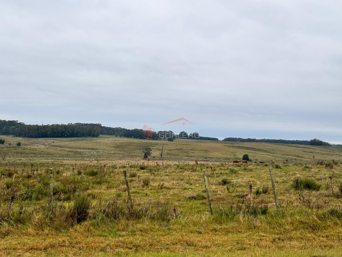 Chacra en José Ignacio - Jose Ignacio
