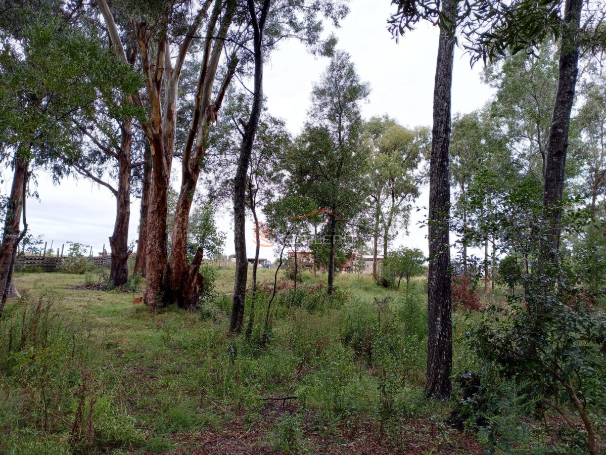 Pan de Azucar - GoPunta - Portal Inmobiliario de Punta del Este - Maldonado