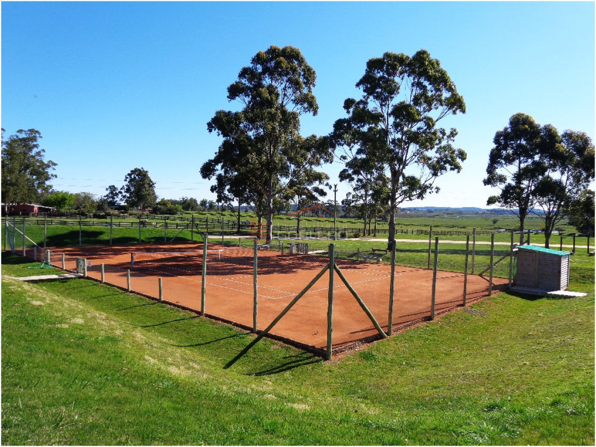 El Quijote - GoPunta - Portal Inmobiliario de Punta del Este - Maldonado