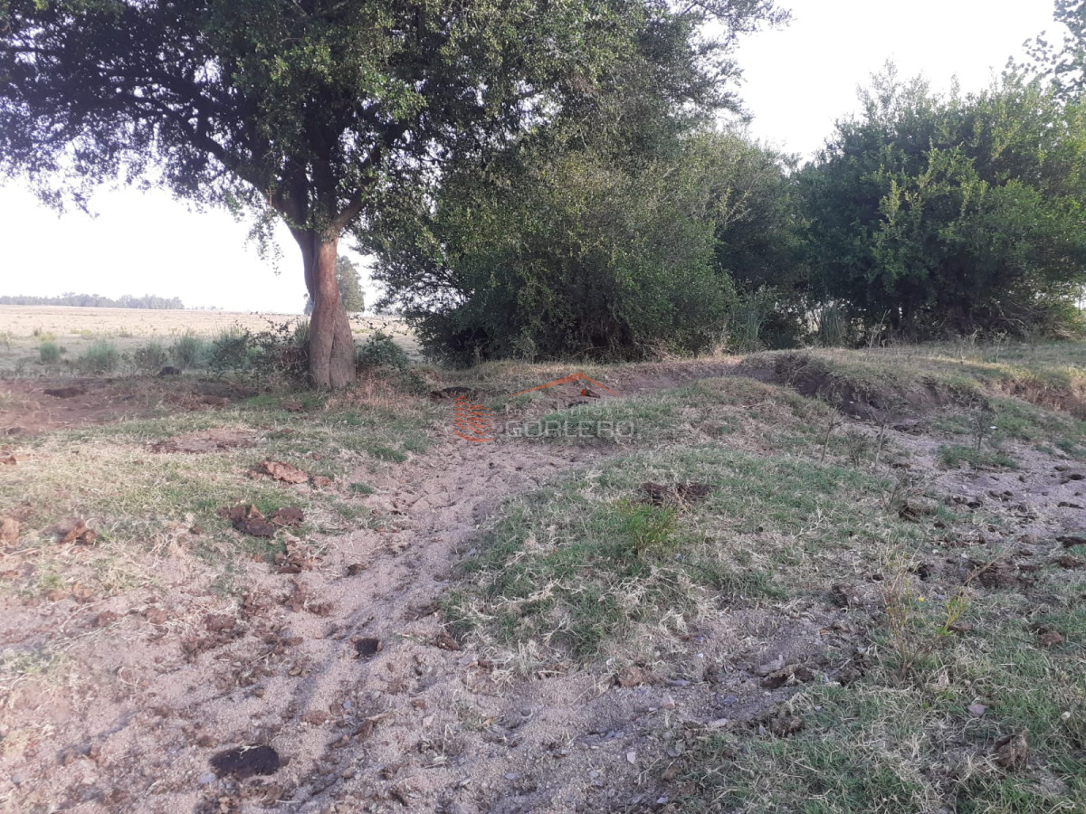 Zona Rural - GoPunta - Portal Inmobiliario de Punta del Este - Maldonado