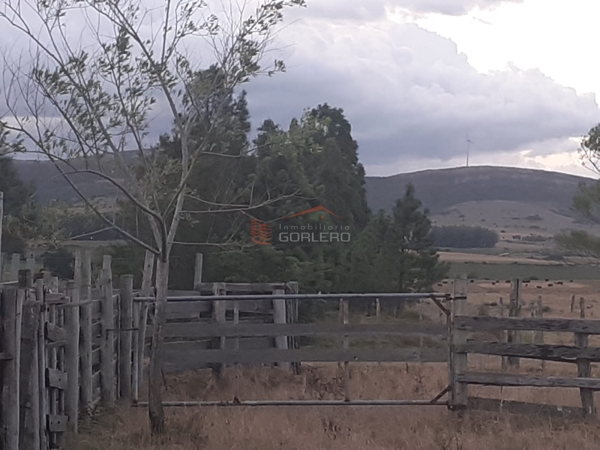 Zona Rural - GoPunta - Portal Inmobiliario de Punta del Este - Maldonado