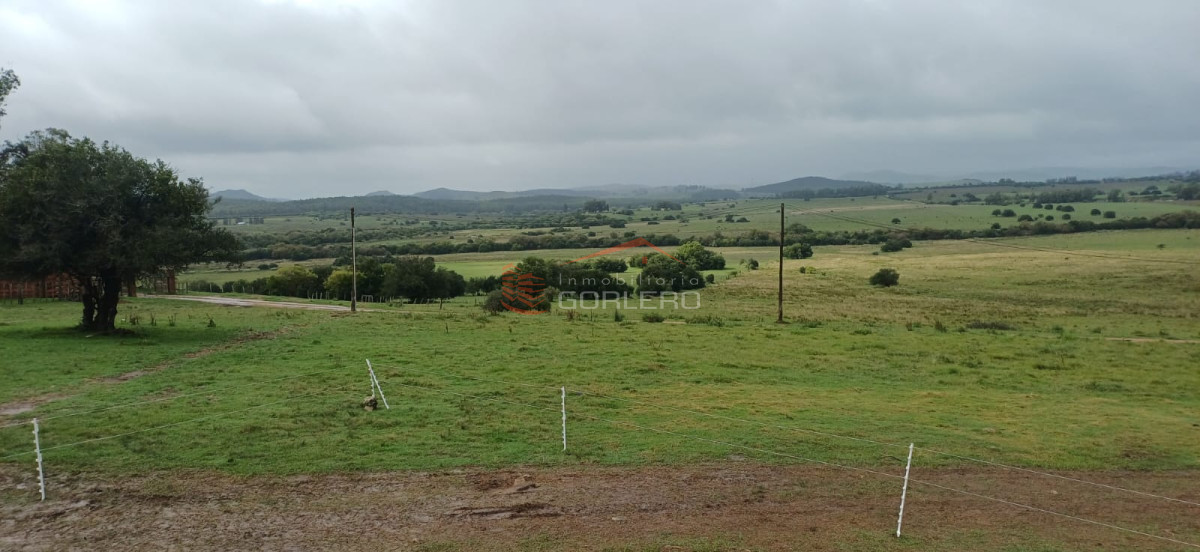 Venta de chacra en Minas 5 has con costa de arroyo - GOR30168H