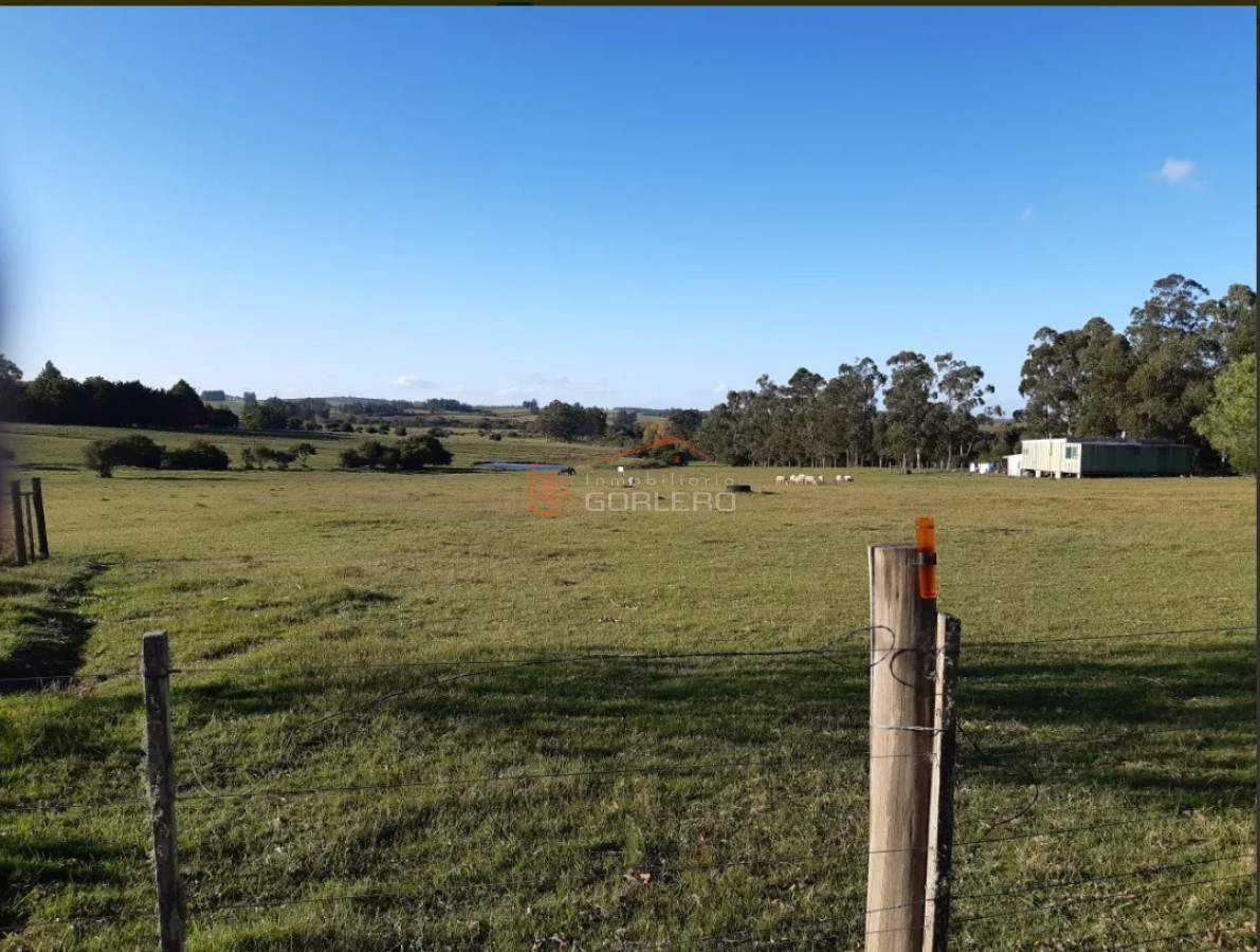 Zona Rural - GoPunta - Portal Inmobiliario de Punta del Este - Maldonado