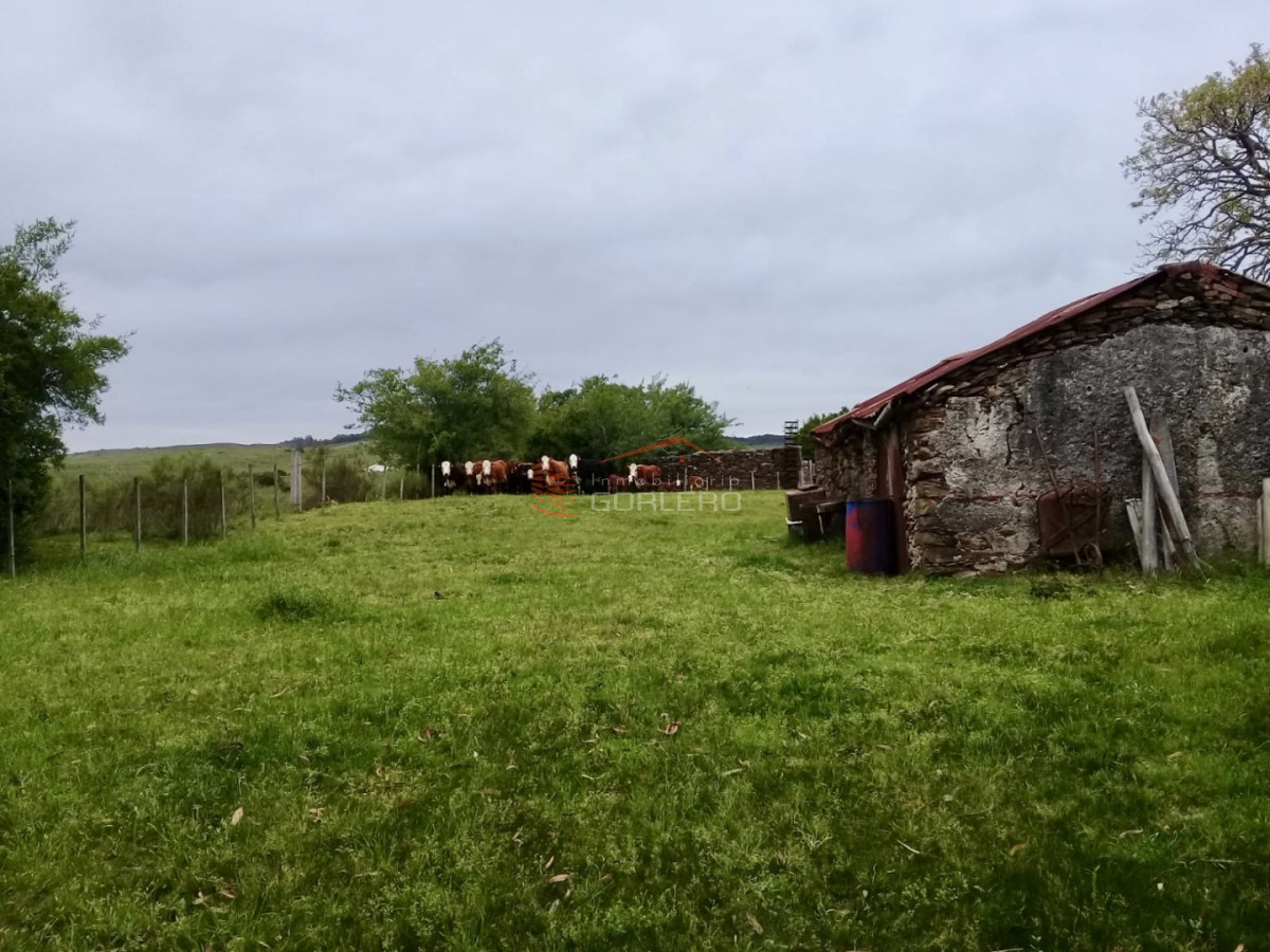 Lavalleja, 23 hás con cañada y tapera de piedra, zona del Penitente - GOR29458H