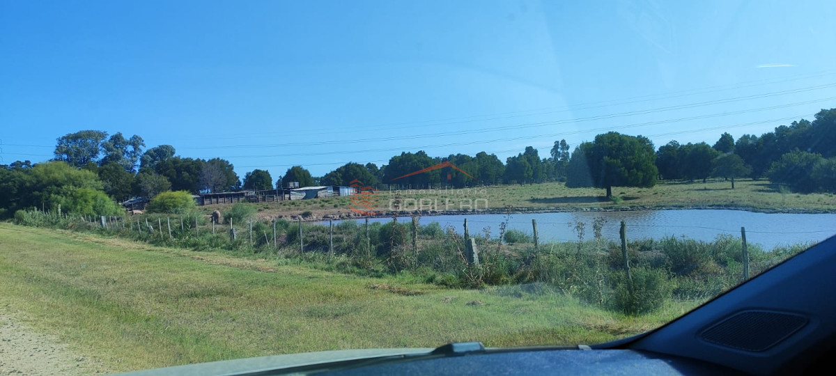 Zona Rural - GoPunta - Portal Inmobiliario de Punta del Este - Maldonado