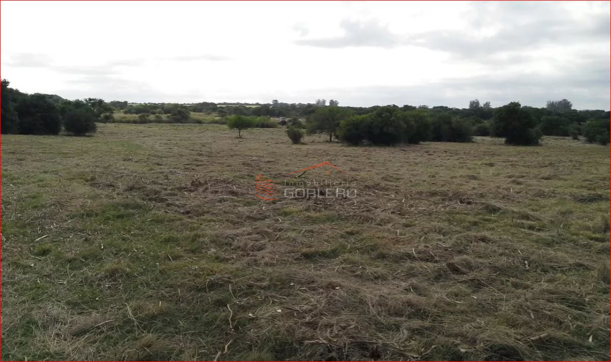 Zona Rural - GoPunta - Portal Inmobiliario de Punta del Este - Maldonado