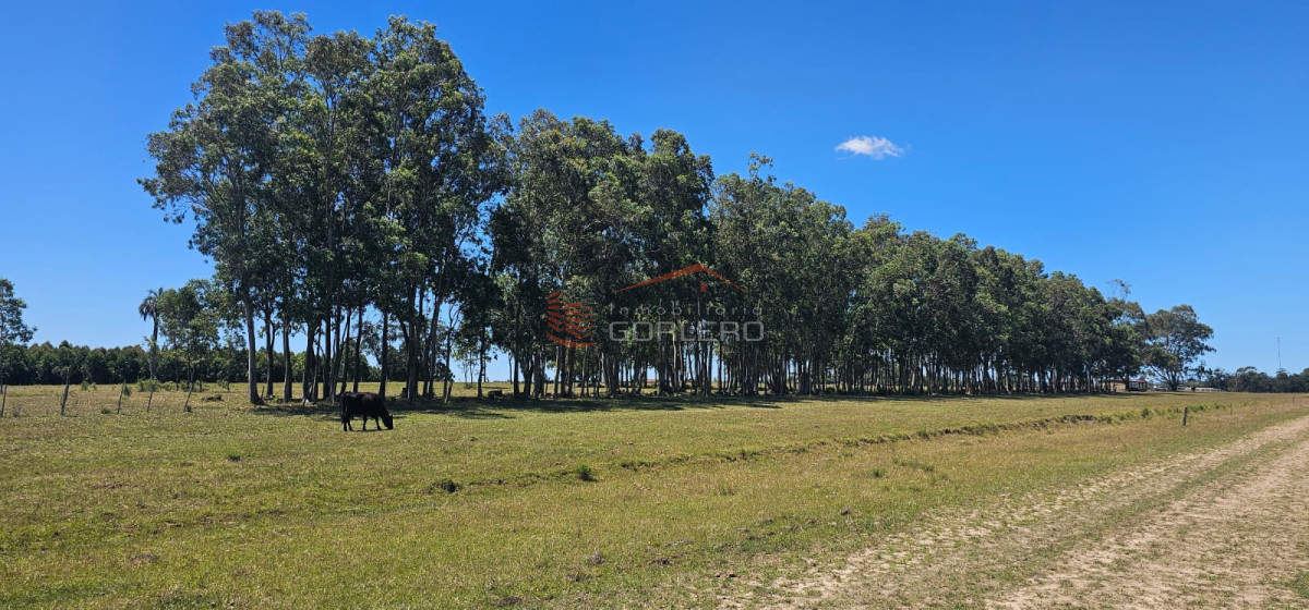 Venta de Chacra en Rocha - Castillos
