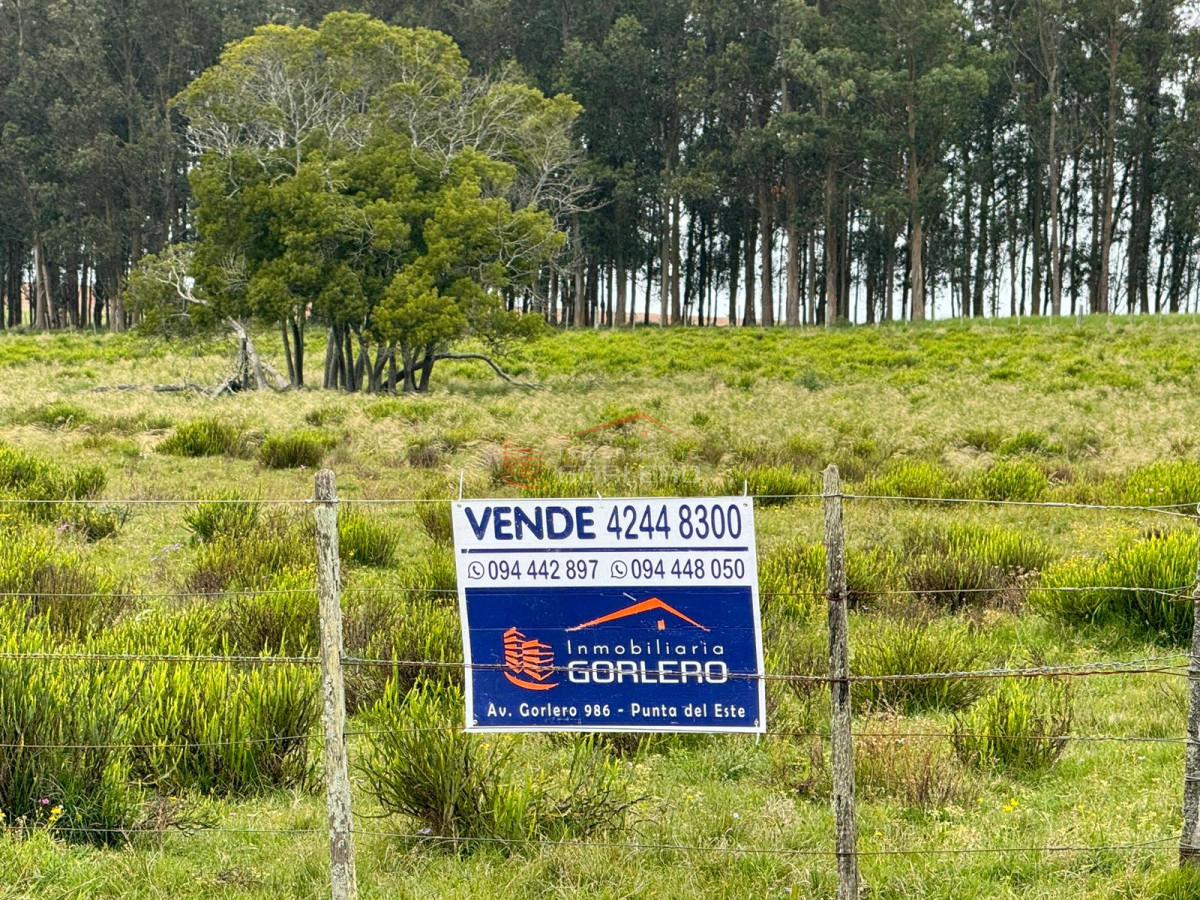Chacra en Rocha - GOR29103H