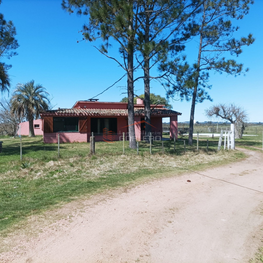 Zona Rural - GoPunta - Portal Inmobiliario de Punta del Este - Maldonado