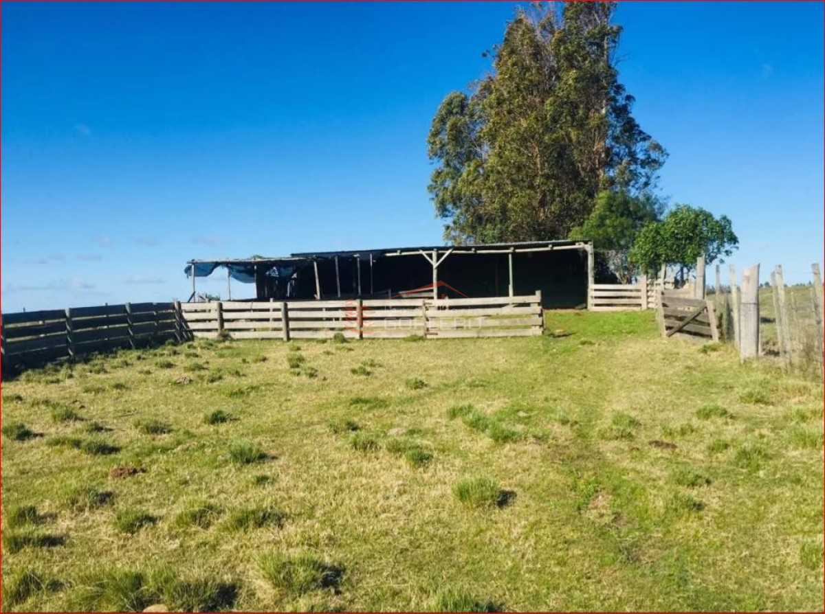 Zona Rural - GoPunta - Portal Inmobiliario de Punta del Este - Maldonado