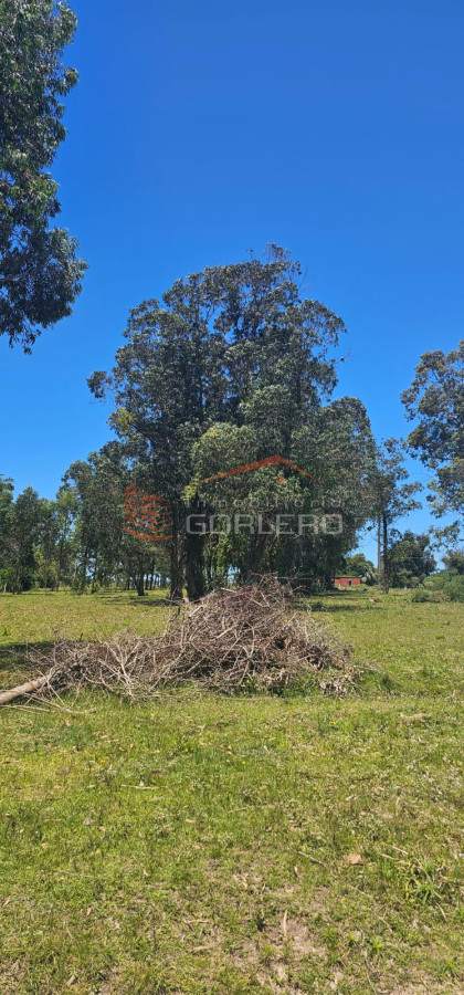 Castillos - GoPunta - Portal Inmobiliario de Punta del Este - Maldonado