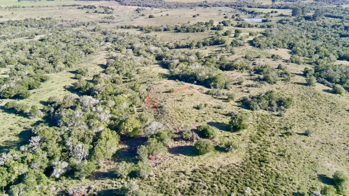 Venta de chacra en Rocha, 22 has ganaderas con potencial - GOR28527H