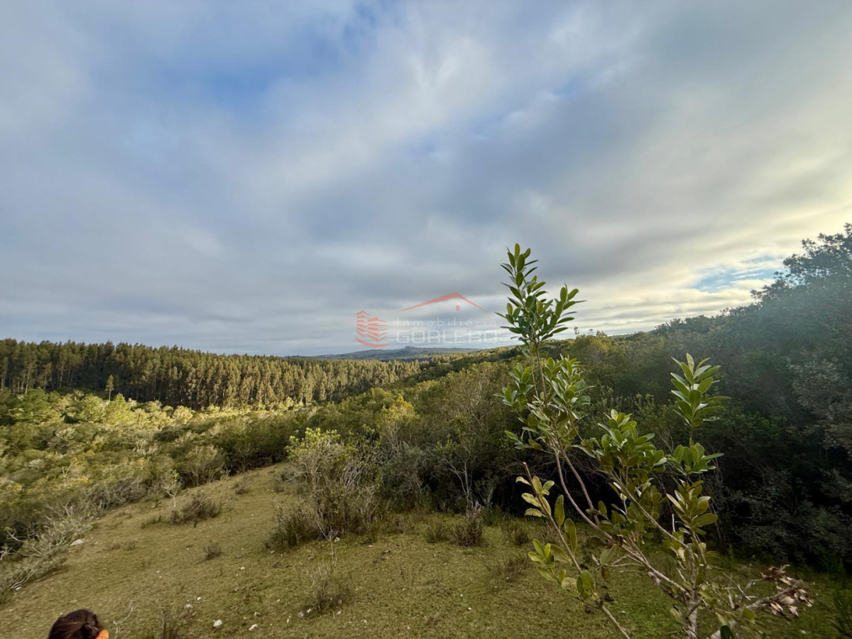 Venta de chacras en Rocha !!! Sierras de Garzón  - GOR30217H