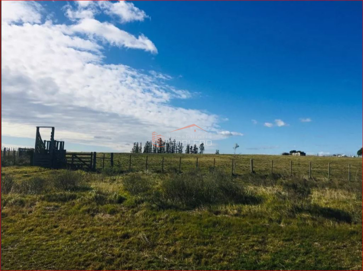 Zona Rural - GoPunta - Portal Inmobiliario de Punta del Este - Maldonado