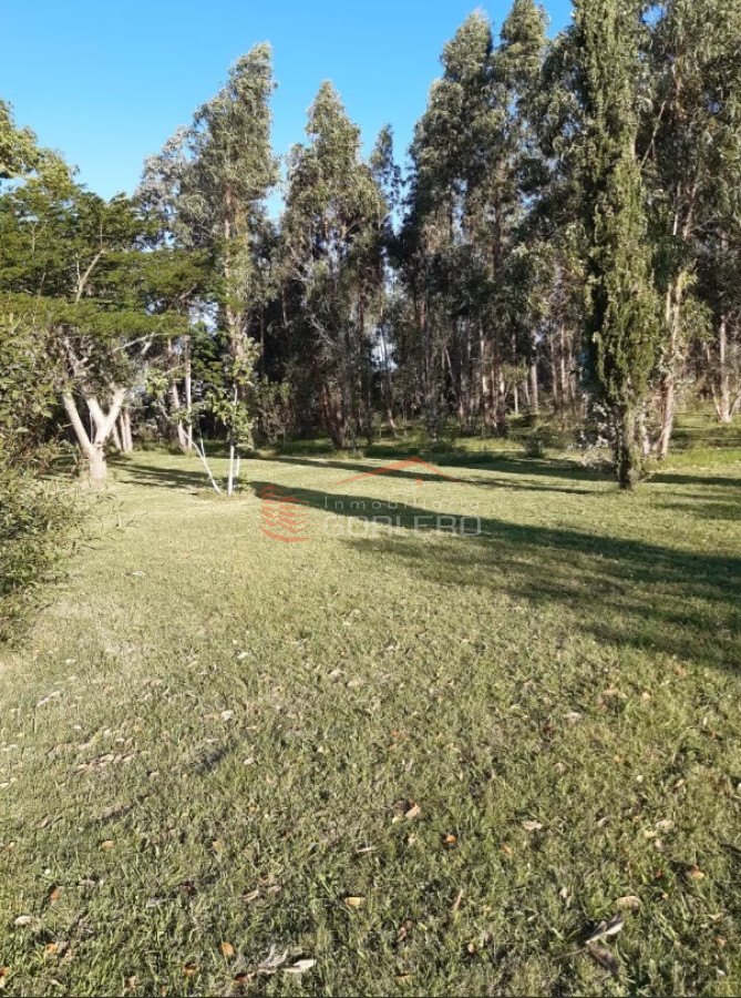 Zona Rural - GoPunta - Portal Inmobiliario de Punta del Este - Maldonado