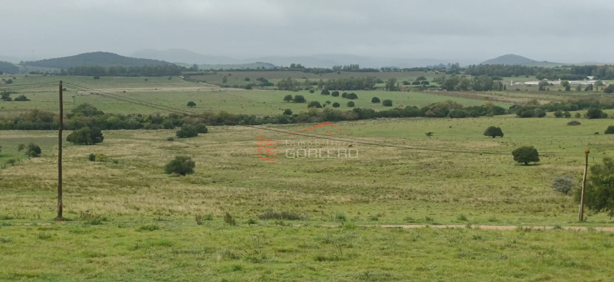 Venta de fracción de 5has muy cerca de Minas con costa de arroyo  - GOR30169H