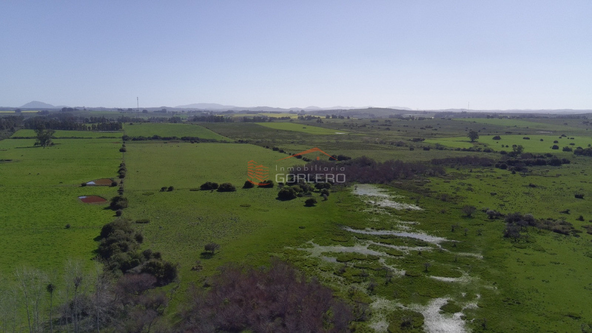 Venta de Chacra de 15 hás - Maldonado - Ruta 12 - GOR29715H