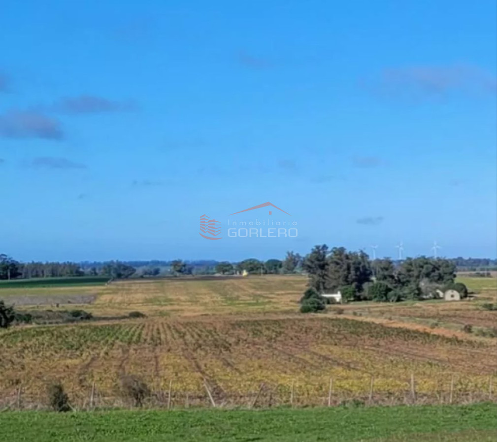 San José, Venta de chacra con gran potencial, 5 hás sobre Ruta 1
