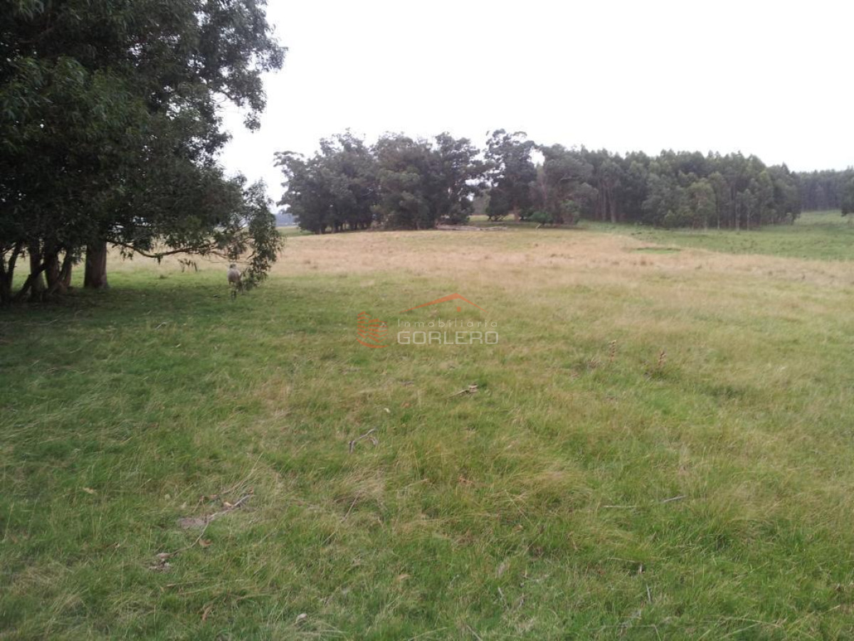 Rocha, Fracción con 24 hás en zona de gran potencial, a 3 km del mar - GOR29506H
